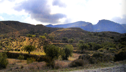 Panoramica del burrucho